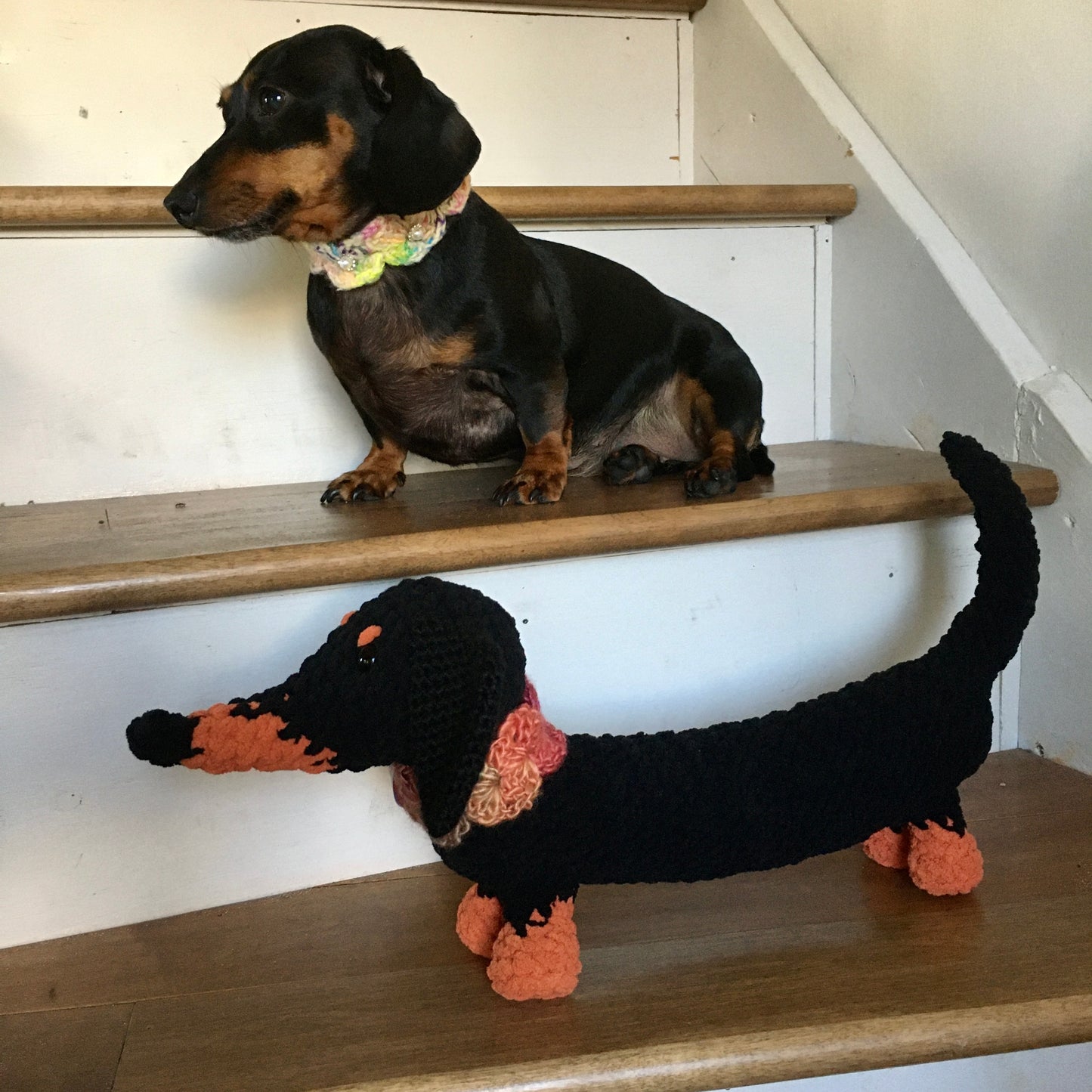 PRĂ COMMANDE - BONNIE TOUTOU, peluche teckel standard ou ultra longue