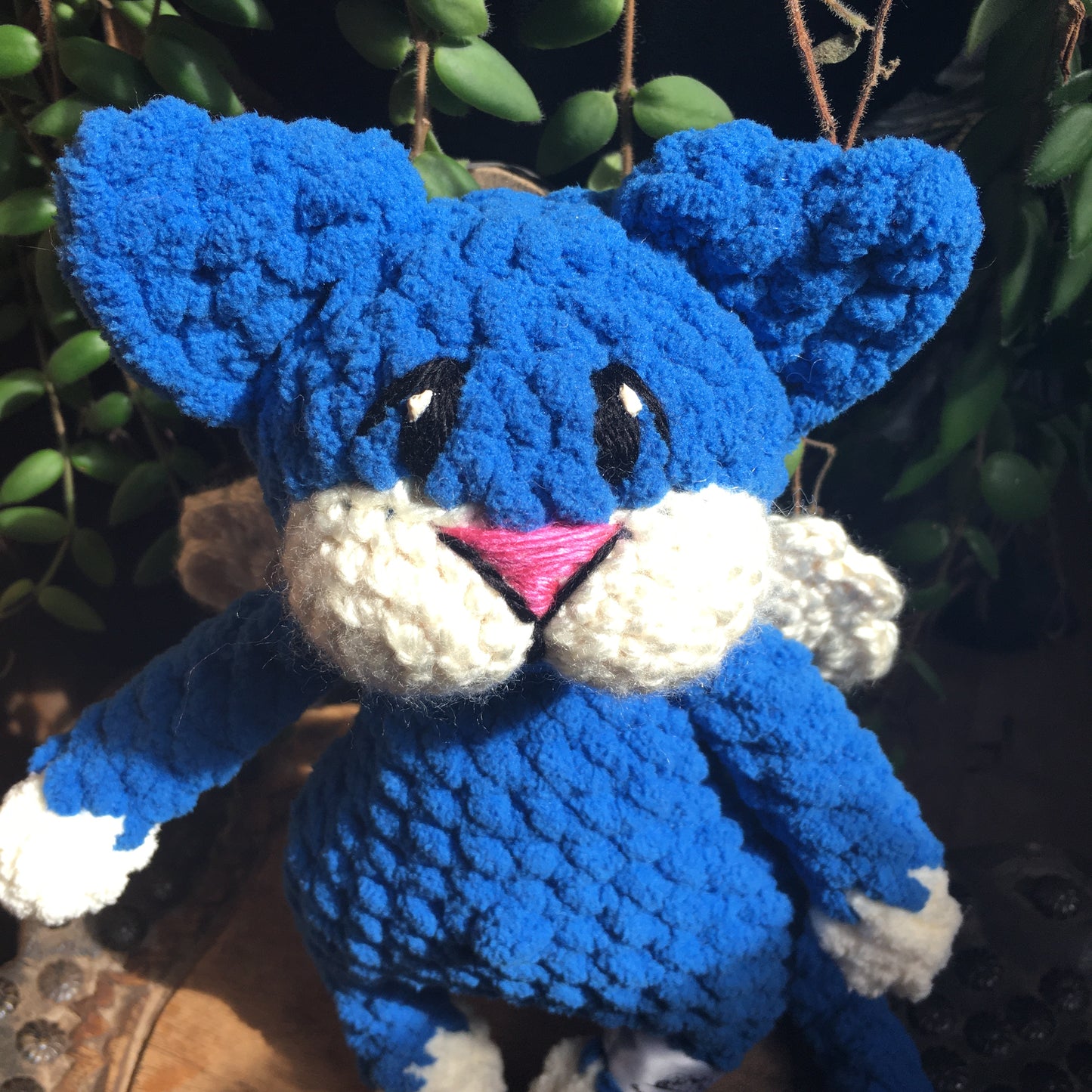 Le CHAT’ANGE bleu royale et vanille