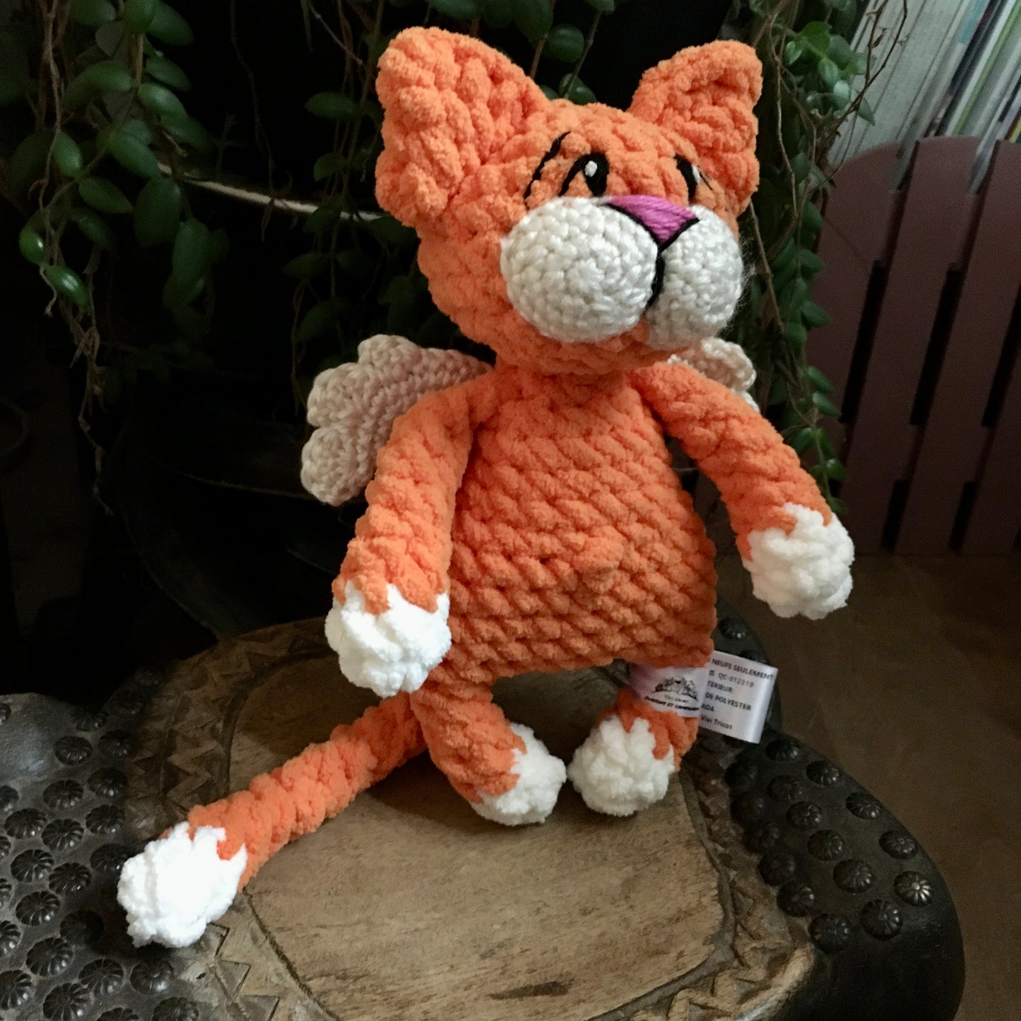 Le CHAT’ANGE orange carotte et vanille