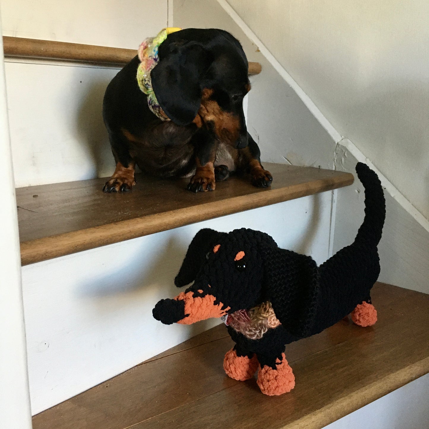 PRE ORDER - BONNIE TOUTOU, standard or extra long dachshund plush toy