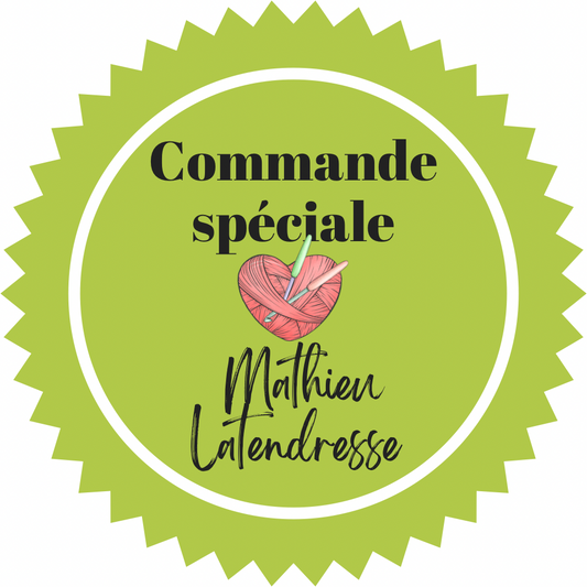 Commande spéciale MATHIEU LATENDRESSE