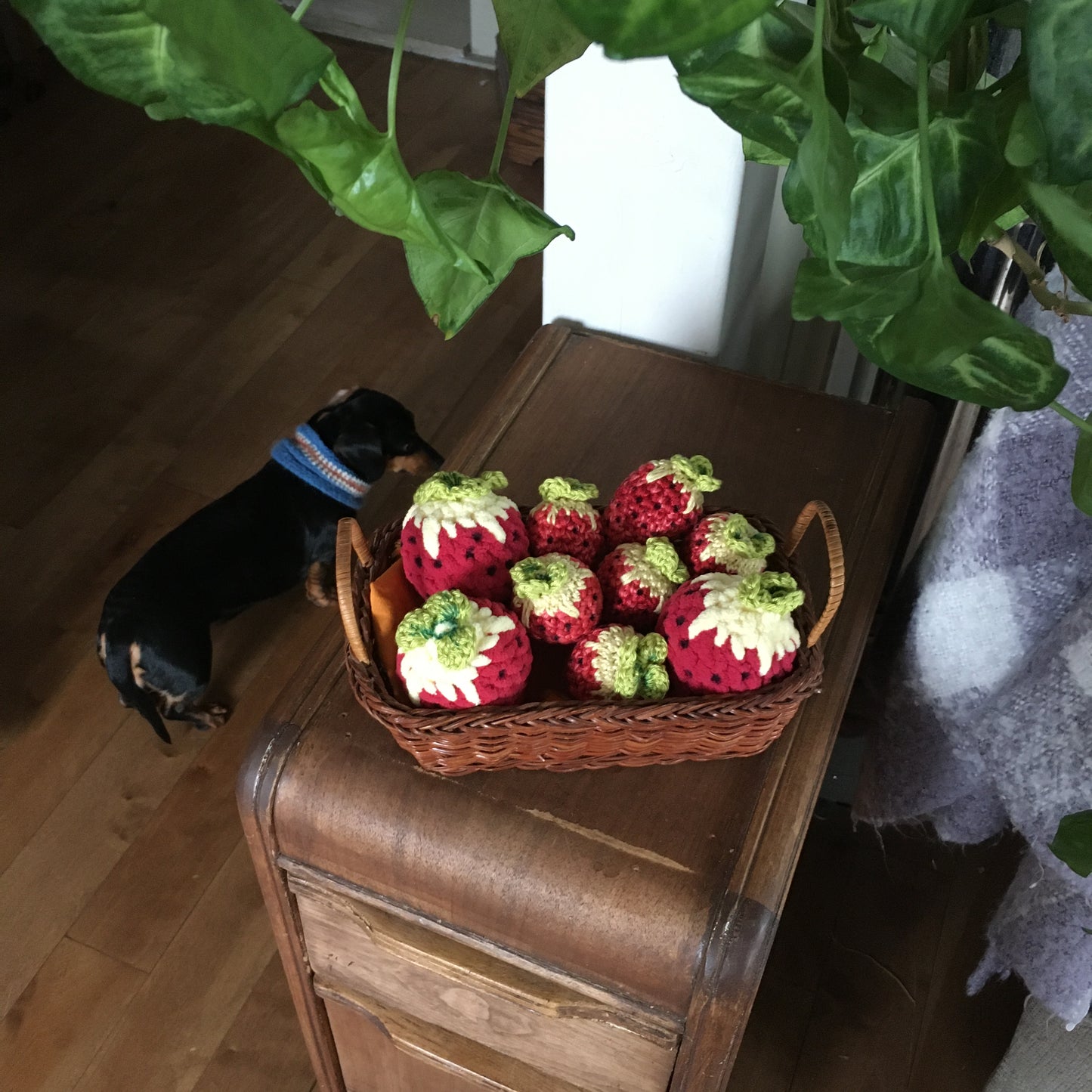 AHHH, CES FRAISES! -  PATRON AU CROCHET à télécharger, tutoriel PDF Français ou anglais