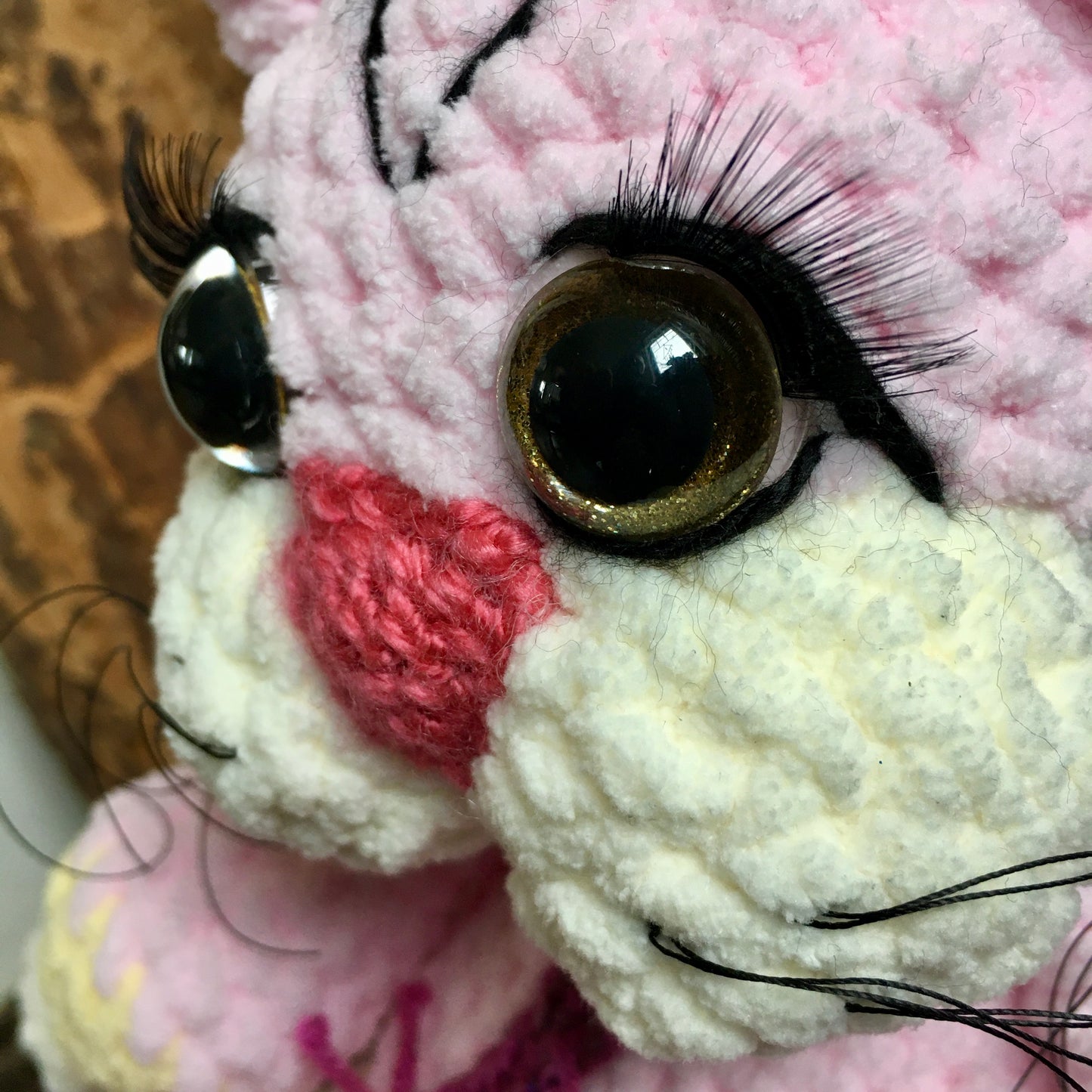 ROSETTE THE KITTEN with charming eyes