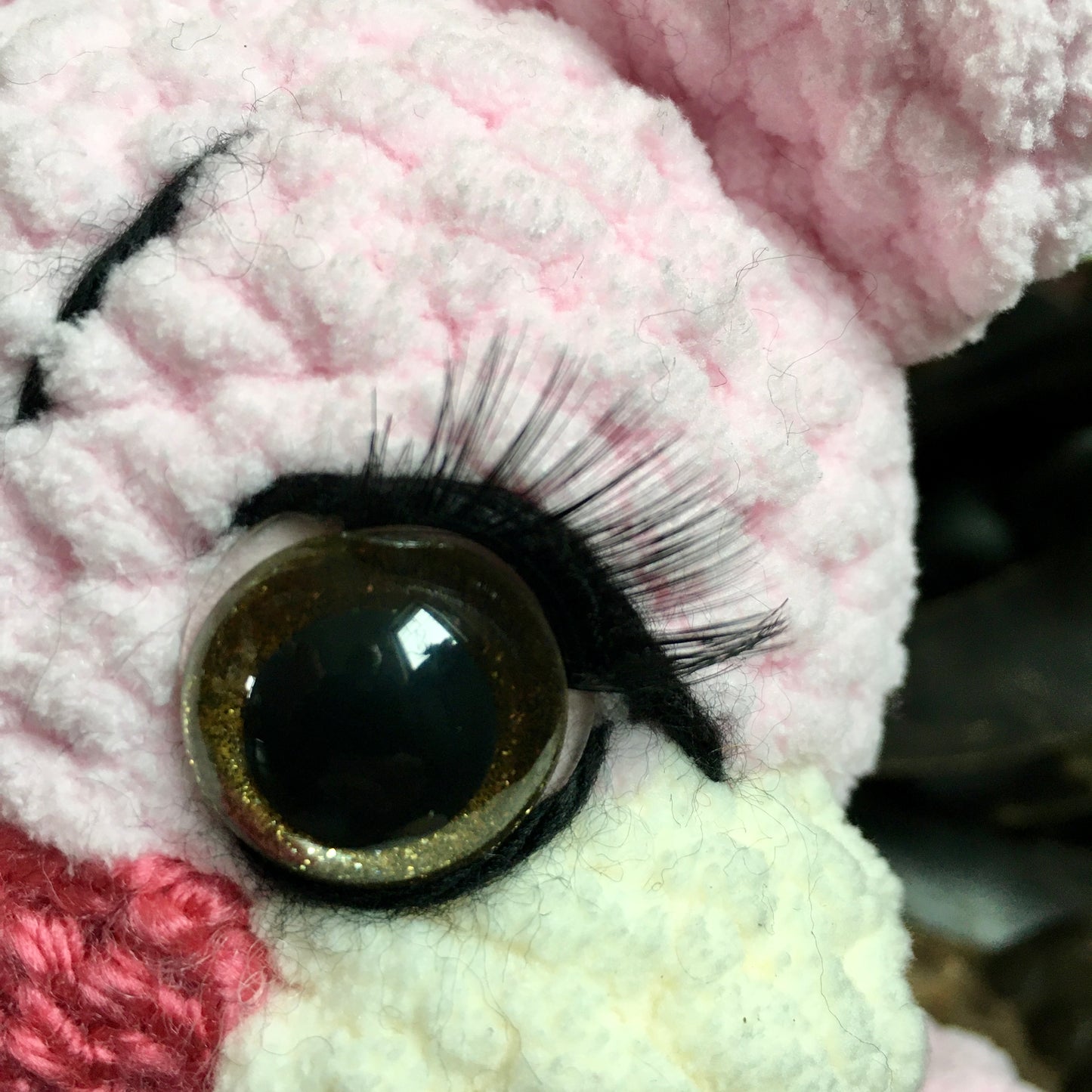 ROSETTE THE KITTEN with charming eyes