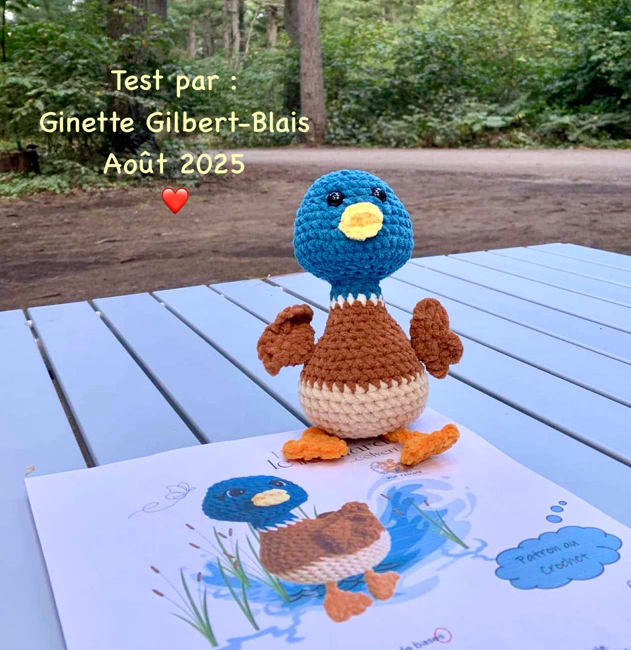HERBERT LE ti-canard COLVERT - PATRON AU CROCHET à télécharger, tutoriel PDF FRANÇAIS