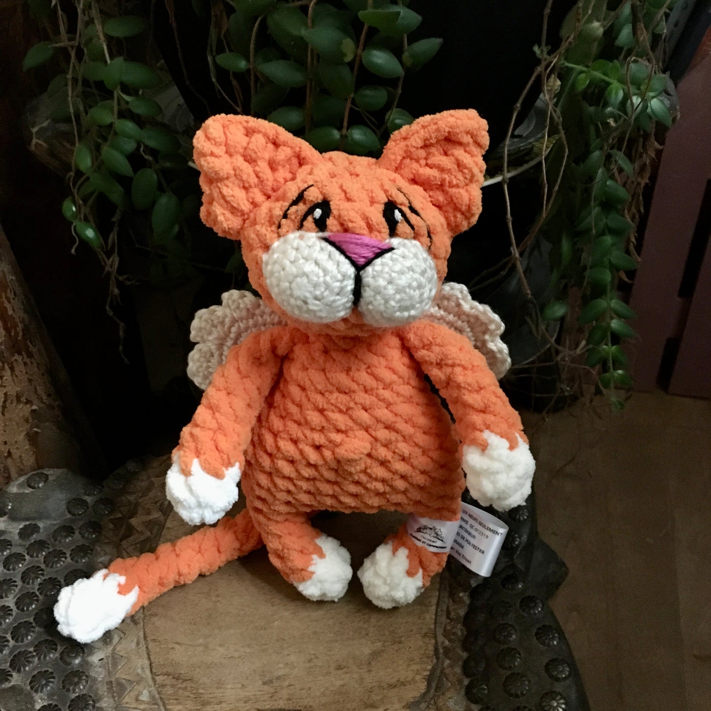 Le CHAT’ANGE orange carotte et vanille