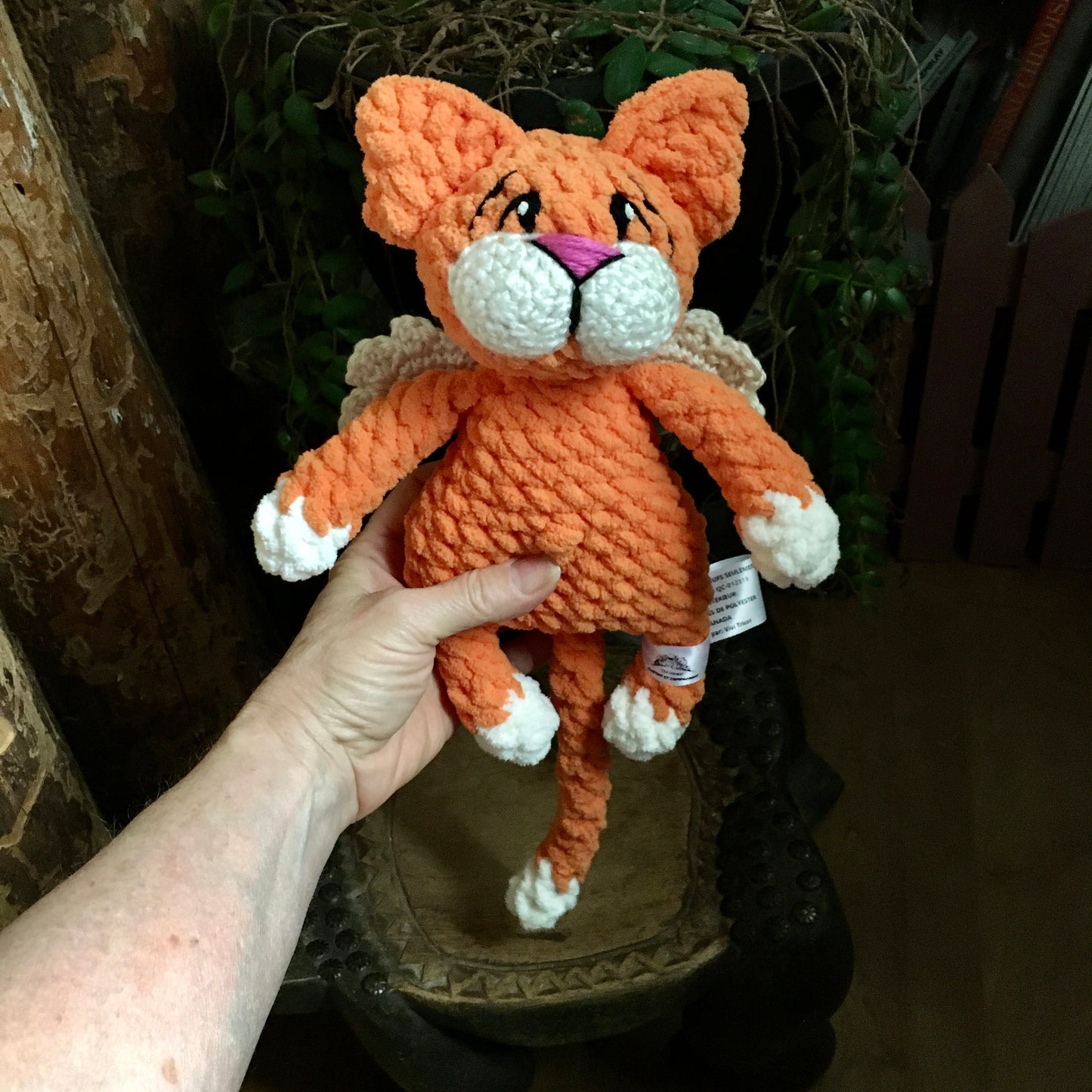 Le CHAT’ANGE orange carotte et vanille
