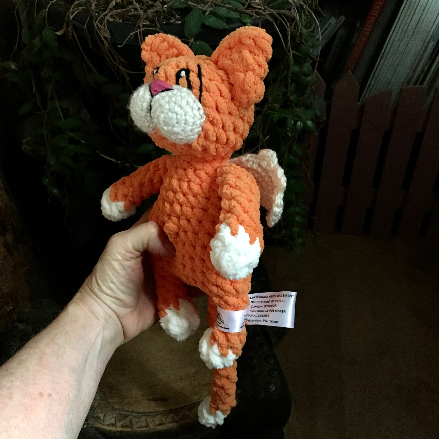 Le CHAT’ANGE orange carotte et vanille