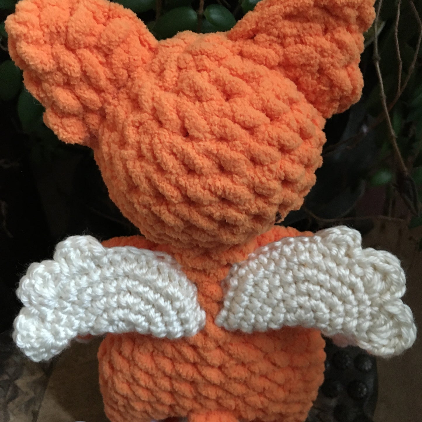 Le CHAT’ANGE orange carotte et vanille