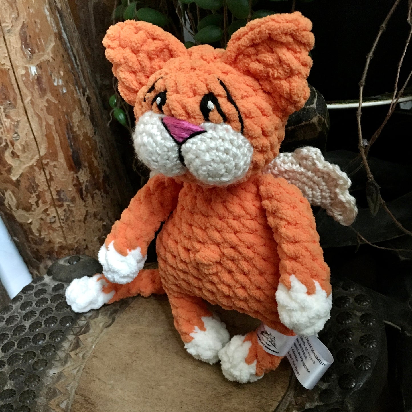 Le CHAT’ANGE orange carotte et vanille