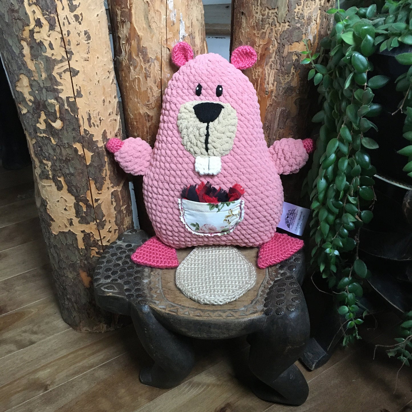 PRÉ COMMANDE - WILMA LA MAMAN CASTOR rose, amie de la fée des dents