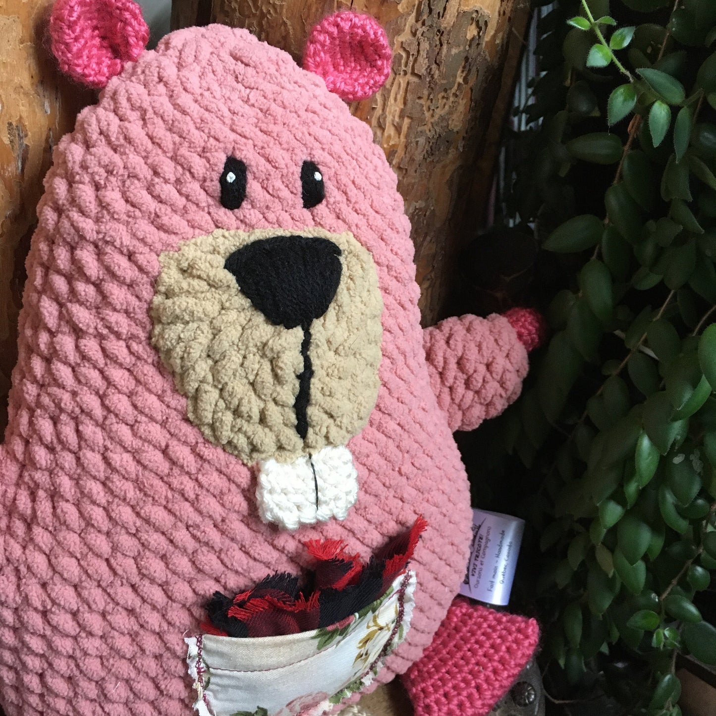 PRÉ COMMANDE - WILMA LA MAMAN CASTOR rose, amie de la fée des dents