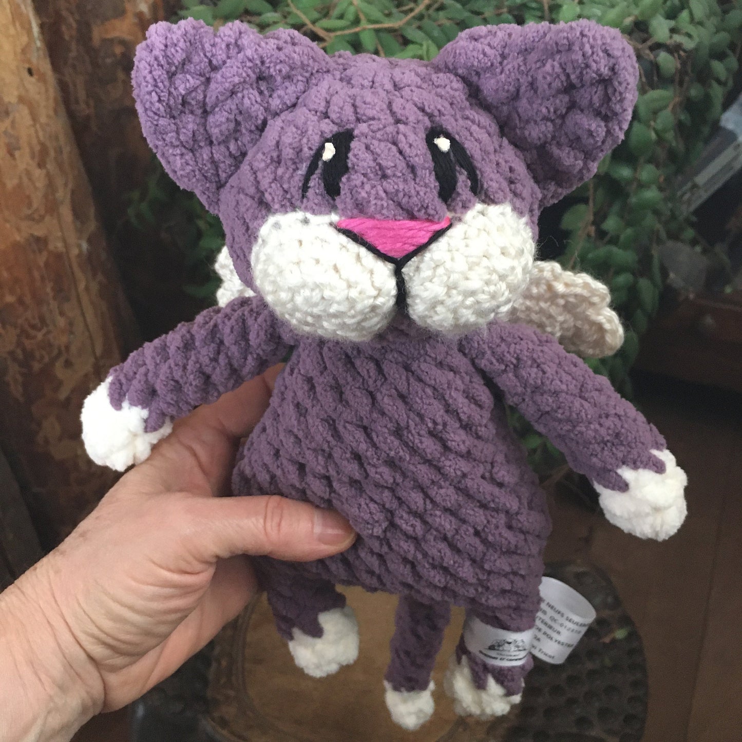 Purple Purple CAT'ANGE